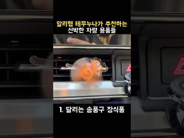 알리형 테무 누나가 추천하는 신박한 차량용품들 6가지