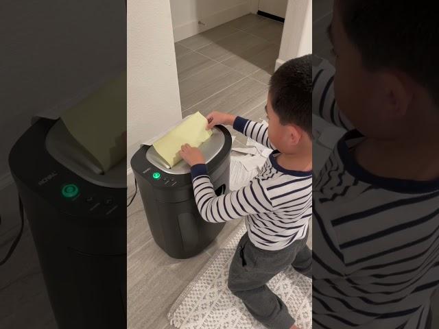 #shredder #shreddingmachine #shredding #shredded #asmr #satisfying #satisfyingvideo #paper