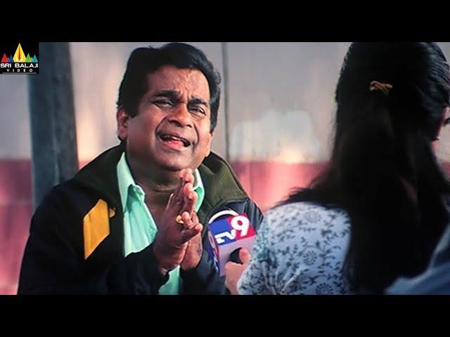 143 (I Miss You) Movie Scenes | Asha Saini Torture to Brahmanandam | Sri Balaji Video