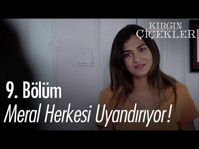 Meral herkesi uyandırıyor! - Kırgın Çiçekler 9. Bölüm