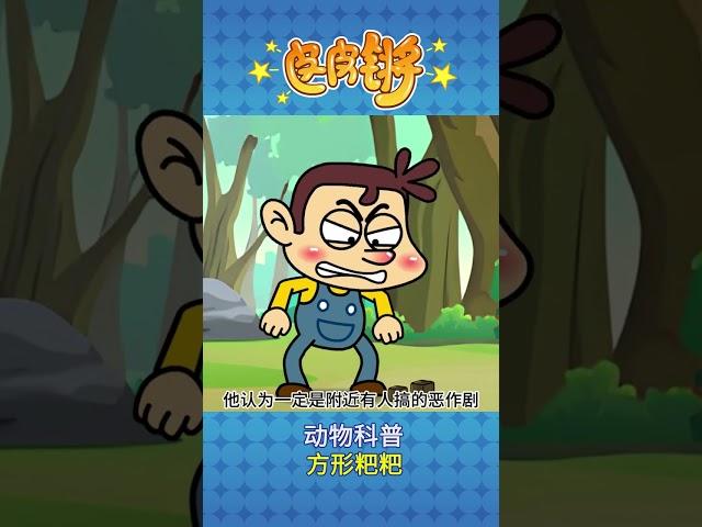 你知道方形的粑粑是怎么形成的吗？ #二次元 #专治不开心 #看一遍笑一遍 #搞笑动画