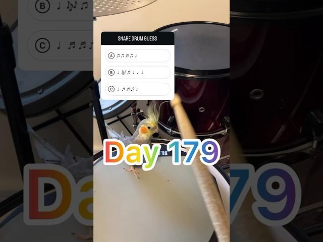 Day 179 - Snare Drum GUESS -  Charlie Teach Music