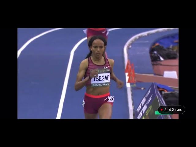 Birmingham World Indoor Tour Final \ TSEGAY Gudaf 8.16.69 WL 3000m WR attempt