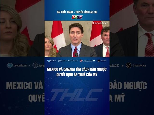 Mexico và Canada tìm cách đảo ngược quyết định áp thuế của Mỹ | THLC