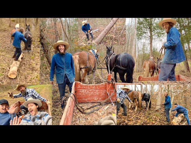 Logging With Titus Morris: An Adventure in Traditional Horse Logging!