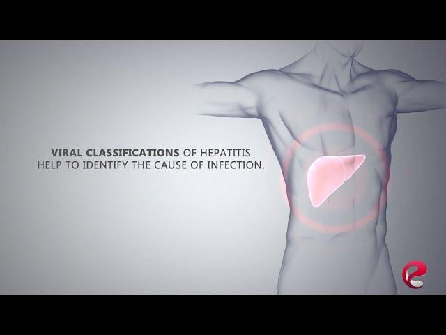 Hepatitis short animation