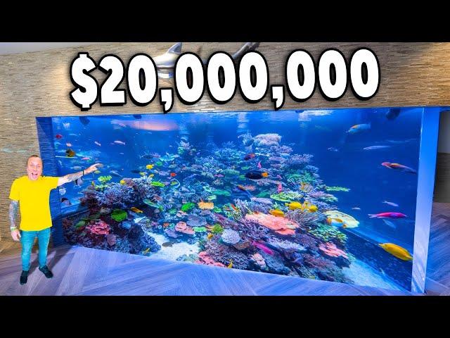 $20,000,000 Fish Tank Tour