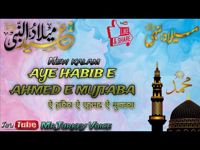 Aye habib e Ahmed e mujtaba |  kalam 2023 | #rabiulawwal2023