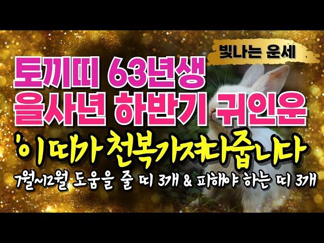 63년생 토끼띠 2025년 운세 하반기 귀인운'이 띠' 3가지 천을귀인입니다 상극인 띠 '3가지' 계묘년 63년생 운세 계묘생 토끼띠말년운 1963년생 재물운 을사년 하반기