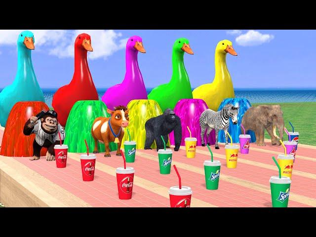 5 Giant Duck Cartoon, Cow, Elephant, Gorilla, Zebra, Monkey, Transfiguration funny animal 2023