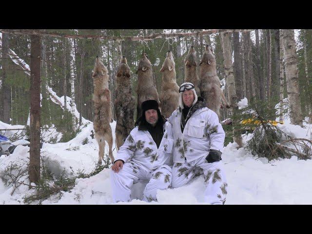 Охота на волка Winterjagd auf Wolf 2024 (фильм второй)