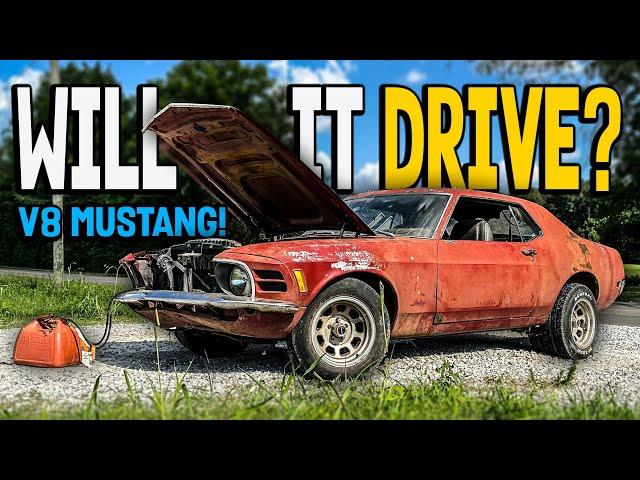 ABANDONED 1970 V8 Mustang - Will It Drive After Decades? Part 2