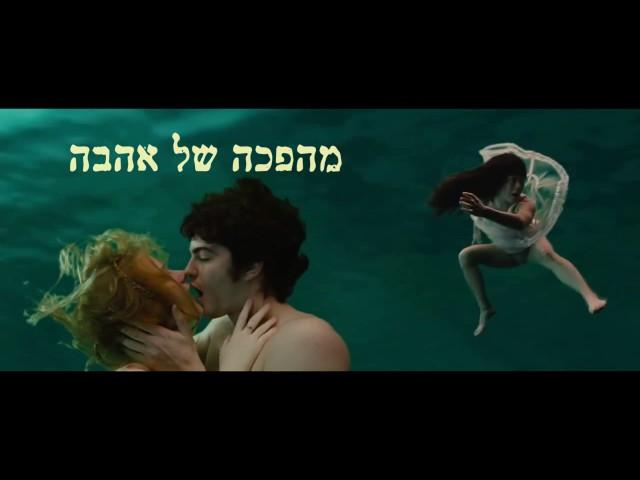 מיקי קריינים -טולה דמארי - תדמית דור האחד