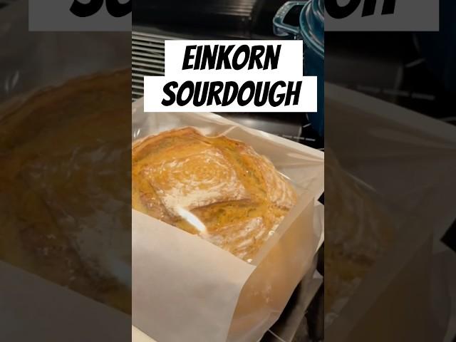 Homemade Einkorn Sourdough #bread #einkorn #sourdough #sourdoughbread #healthyfood #organic #yummy