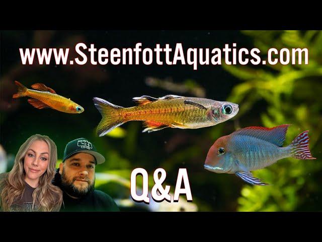 Steenfottaquatics.com Q&A: Ask Us Anything About Freshwater Aquariums!