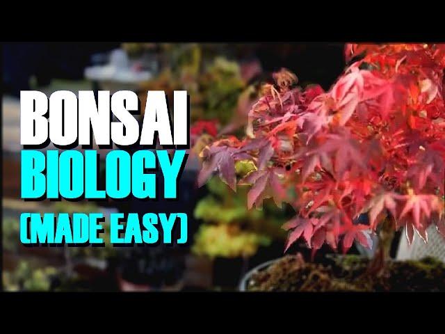 Bonsai Tree Biology (*Made Simple*)