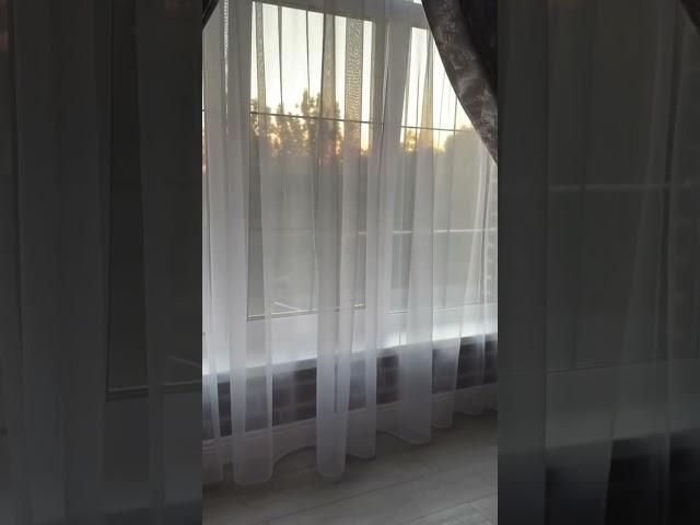 Мы молодые и счастливые #garden #жизньзагородом #рецепты #огород #shorts