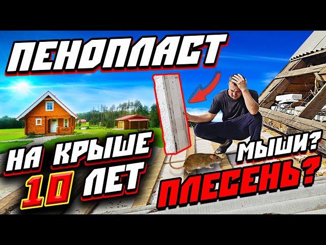 Вскрыл ПЕНОПЛАСТ через 10 ЛЕТ | ЧТО С КРЫШЕЙ? | Плесень? | Грибок? | Можно ли утеплять пенопластом?