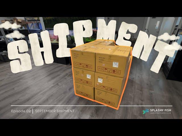 Unboxing The Great Aquarium Fish Shipment With Us!!