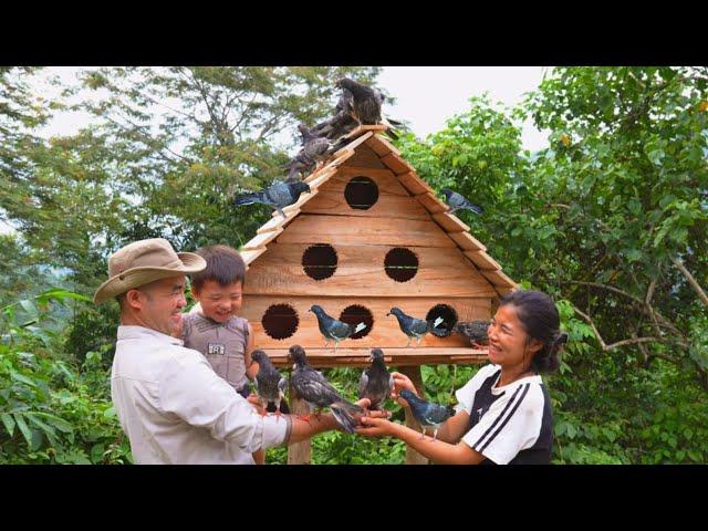 A kind man has feelings for Ly Tu Ca: helps a single mother build a pigeon coop  - ly tu ca