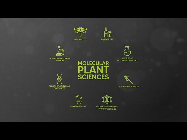 WSU Molecular Plant Sciences: Virtual Facility Tour