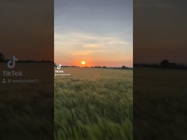 Check out the new video on TikTok!