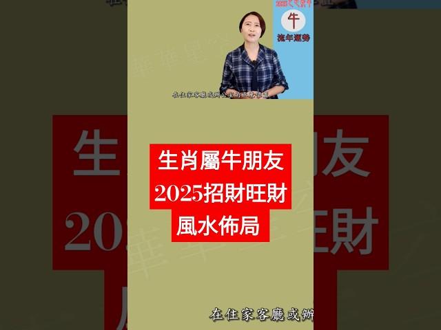 #生肖屬牛 #2025招財旺財 風水佈局 #屬牛2025運勢 #2025乙巳蛇年 #生肖牛2025流年運勢 #2025流年九宮飛星 #2025住家風水佈局 #十二生肖2025運勢 #牛2025