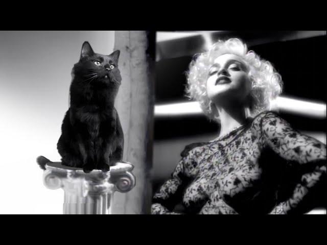 OwlKitty in Vogue (Madonna)