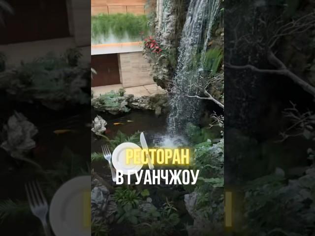 Ресторан в Гуанчжоу ️