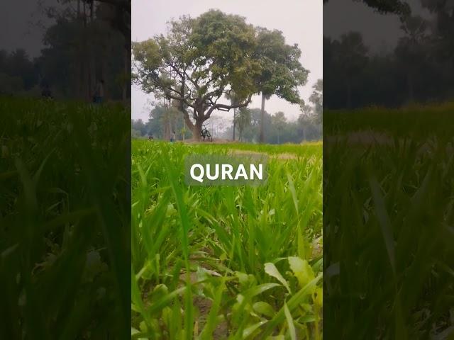 Surah Al Quran Islam video