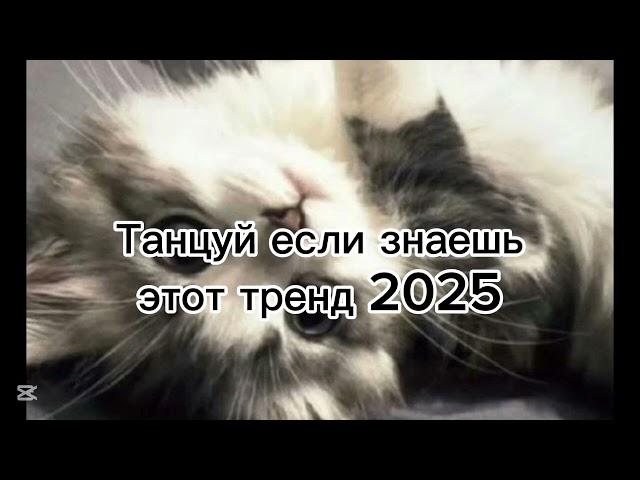 Танцуй если знаешь этот тренд 2025 #рек #рекомендации #танцы #тренды #рееееееееек #2025