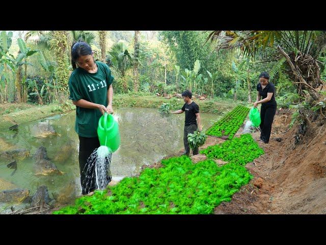 Pao's family's simple life: growing vegetables and raising fish