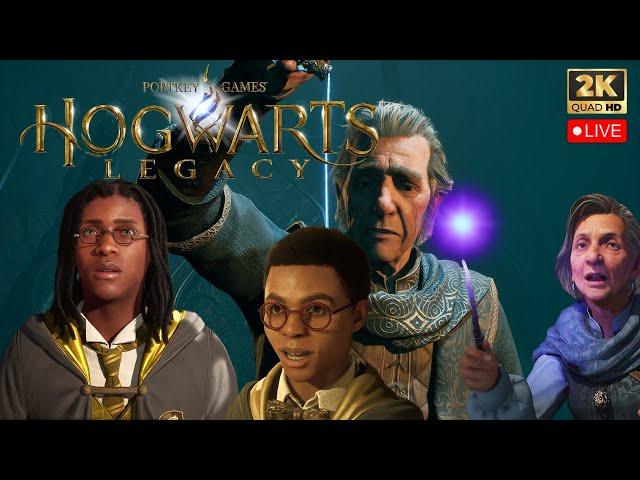 Hogwarts Legacy In 2025 Still Worth Playing ? LIVE Gameplay (PC)