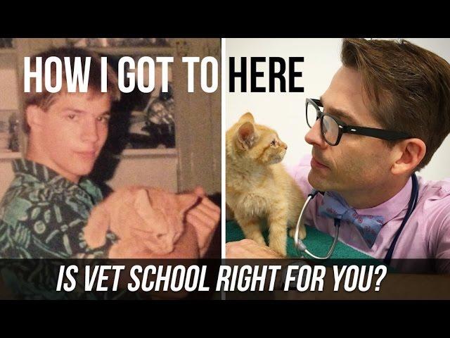 Is Vet School Right For You? My Experience