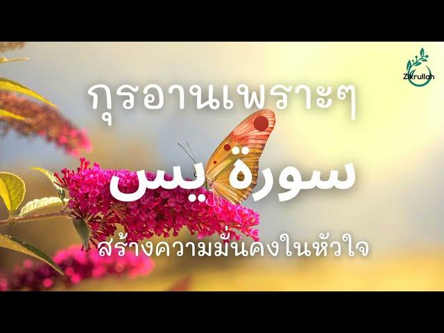 ฟังกุรอานเพราะๆ ยาซีน | สร้างความมั่นคงในหัวใจ