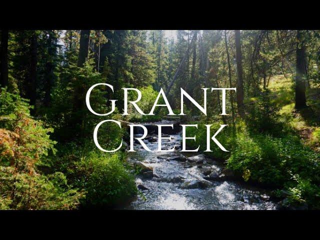 Exploring the Benefits of Living in Grant Creek, Missoula MT