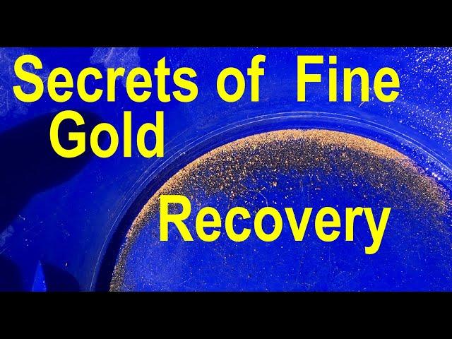 Master Gold Prospector Reveals Best Techniques for Fine Gold Recovery