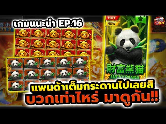 slotxo สล็อตxo เกมแนะนำ EP.16 แพนด้าเต็มกระดานไปเลยสิ บวกเท่าไหร่ มาดูกัน!!