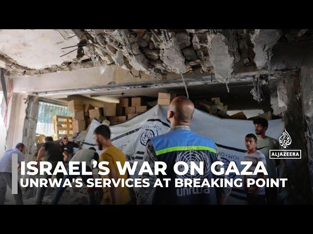 Israel’s war on Gaza: UNRWA's humanitarian services at breaking point