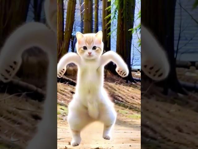 Smart  cat dance #petdance #meow #dance #moto #dieunhaylaixemoto