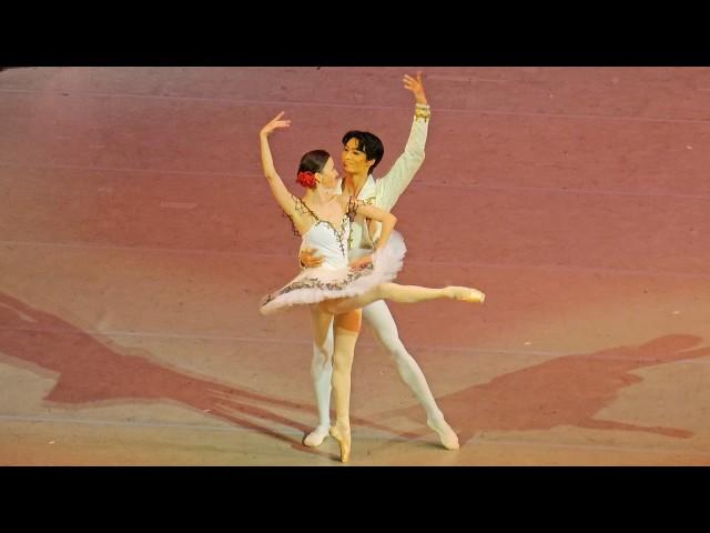 The enchanting Don Quixote of the Mariinsky Theater at the Bolshoi Theater - Pas De Deux.