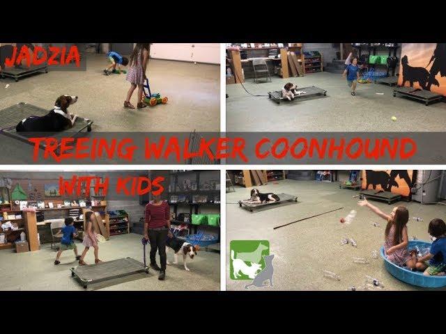 Building Distractions with CRAZY KIDS | Dog Obedience Training |  Coonhound