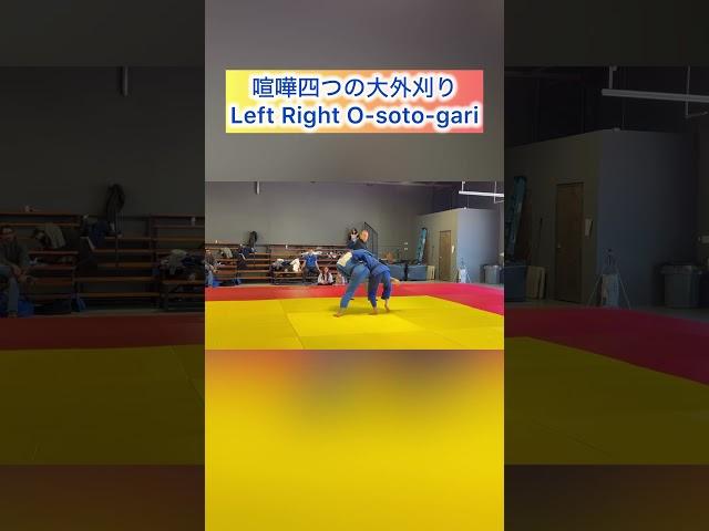 喧嘩四つ 大外刈り#柔道 #judo #дзюдо #유도 #大外刈り #アメリカ #アメリカ生活