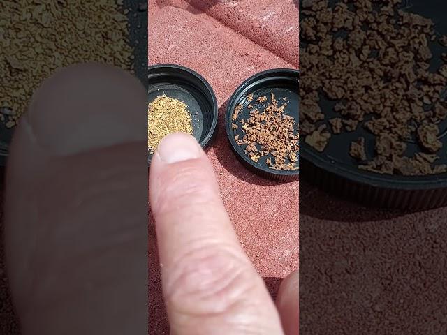 Alluvial vs Eluvial Placers