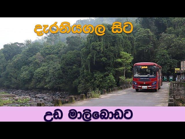 දැරනියගල සිට උඩ මාලිබොඩට ශ්‍රී ලංගම බස් එකෙන් | Uda Maliboda Bus