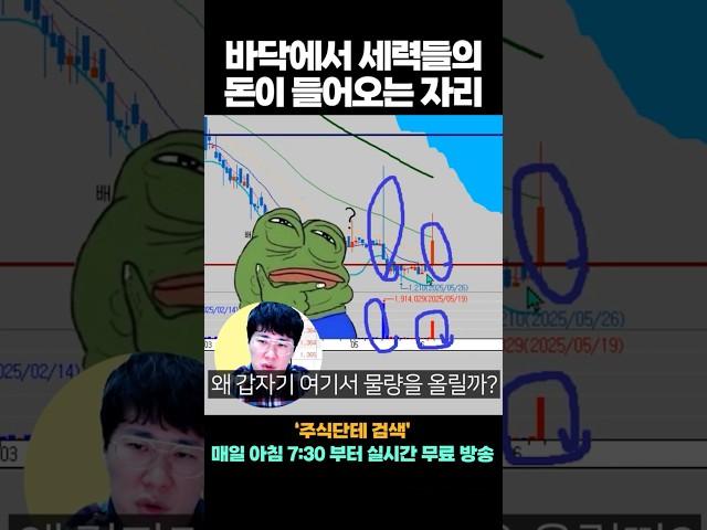 바닥에서 보이는 세력들?! 이 자리가 기회입니다