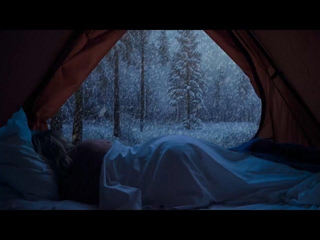 Sleeping in Tent with a Blizzard - Winter Tent Camping - Snow Storm & Heavy Snowfall for Deep Sleep