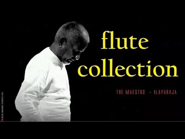 ILAYARAJA FLUTE COLLECTION - Tamil Songs Flute Collection