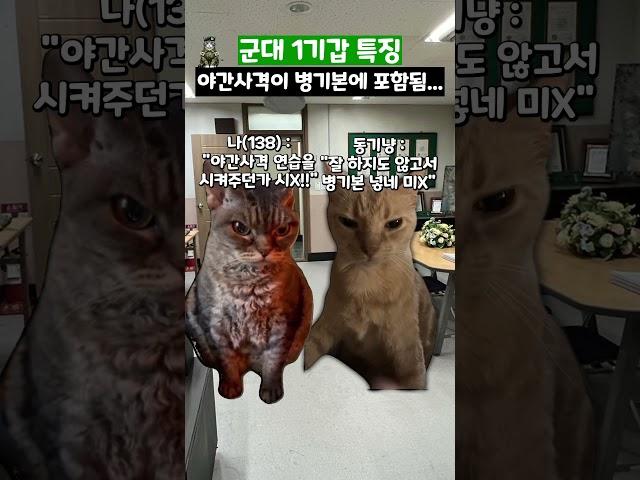 군대 1기갑 특징 #shorts #군대