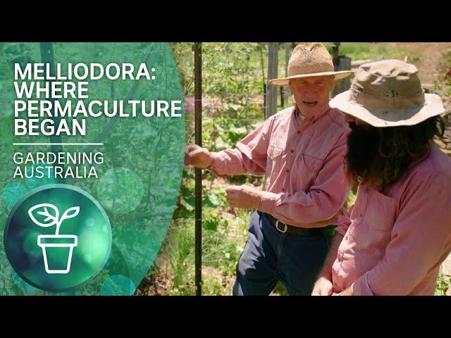 Melliodora – The birthplace of permaculture | Urban Farming | Gardening Australia